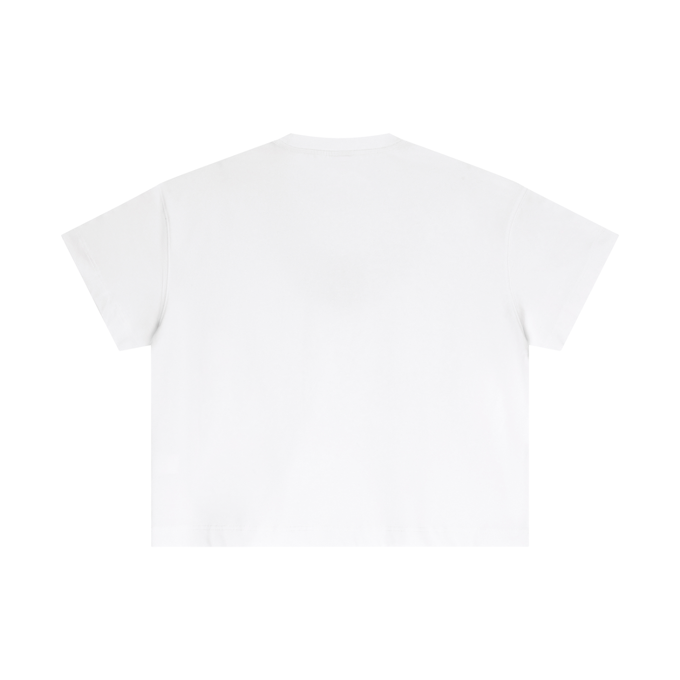 Levo Essential Cotton Boxy T-Shirt Syria logo